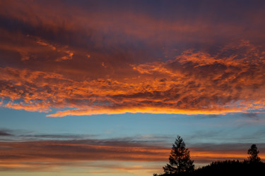 Similar image 21210797