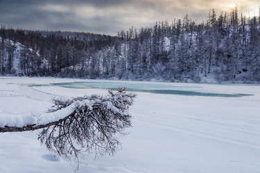 Similar image 21210799