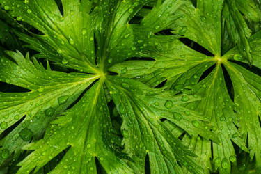 Similar image 21210809