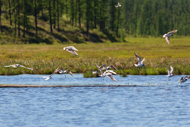 Similar image 21210811