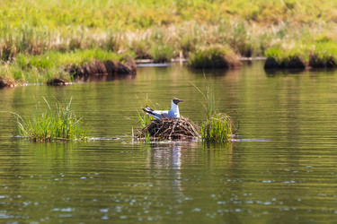 Similar image 21210815