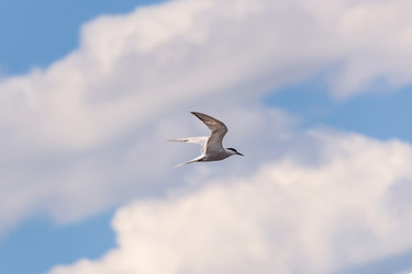 Similar image 21210817