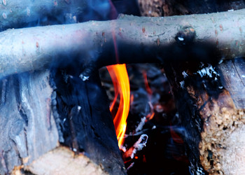 Similar image 21205405