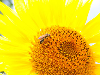 Similar image 21219915