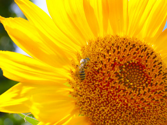 Similar image 21224517