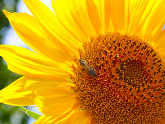 Similar image 21224522