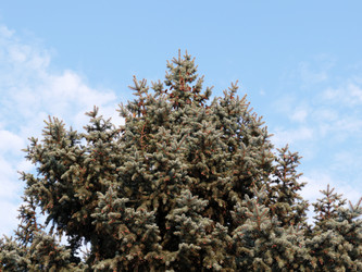 Similar image 21234670