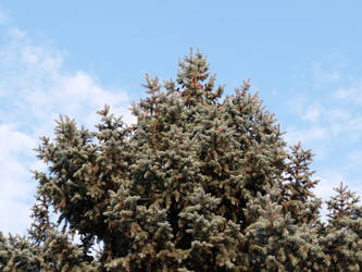 Similar image 21234674