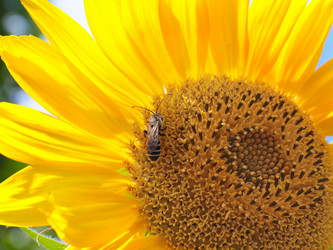 Similar image 21205408