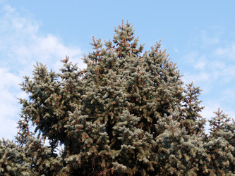 Similar image 21236799