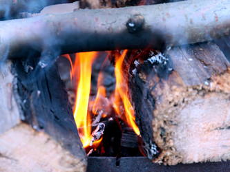 Similar image 21205409