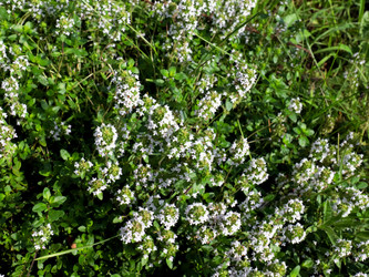 Similar image 21236802