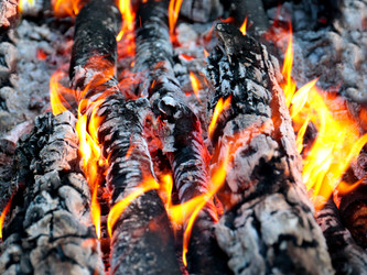 Similar image 21236803