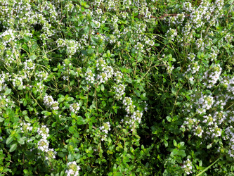 Similar image 21236804