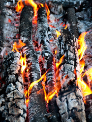 Similar image 21236805