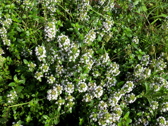 Similar image 21236807