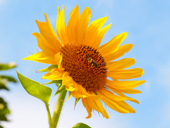 Similar image 21236809