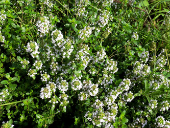 Similar image 21236811