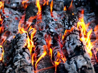 Similar image 21236812