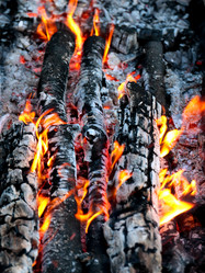 Similar image 21241823