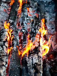 Similar image 21241826