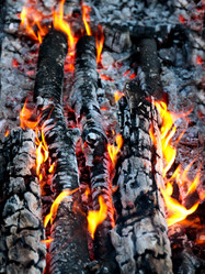 Similar image 21241827