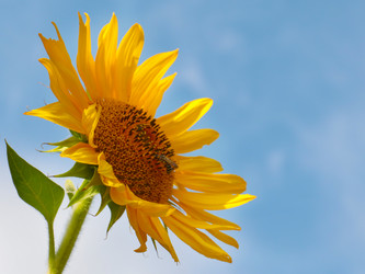 Similar image 21241828