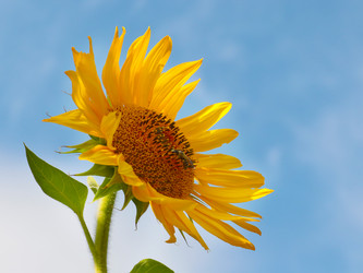 Similar image 21241830