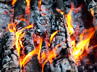 Similar image 21241831