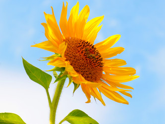 Similar image 21241832