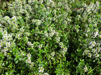 Similar image 21241833