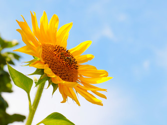 Similar image 21241870