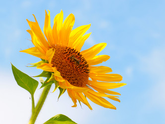 Similar image 21241871