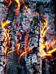 Similar image 21241872