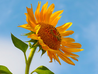 Similar image 21244543