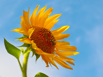 Similar image 21244544