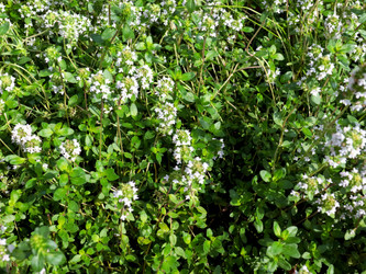 Similar image 21244545