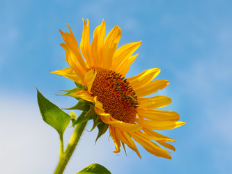 Similar image 21244546