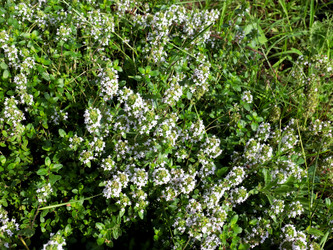 Similar image 21244547