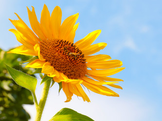 Similar image 21249166