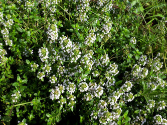 Similar image 21249167