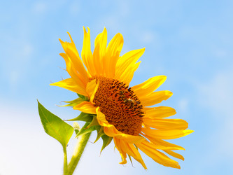 Similar image 21249168