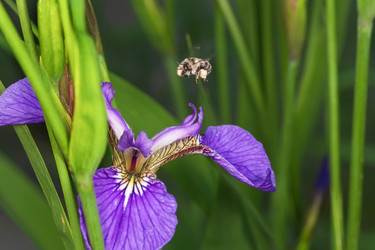 Similar image 21210823