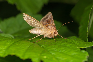 Similar image 21210743