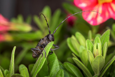 Similar image 21210745