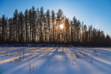 Similar image 21210749