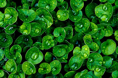 Similar image 21210750