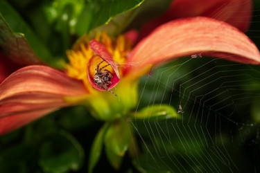 Similar image 21210842