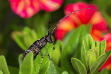 Similar image 21210844