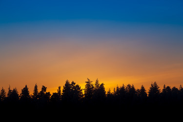 Similar image 21210847